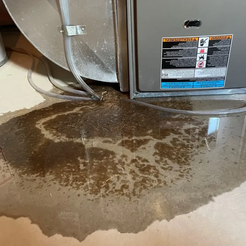 Pipe Burst and Leak Restoration in Dewey, OK